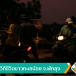 สัมผัสวิถีชีวิตชาวทะเลน้อย-จ.พัทลุง-ข่าวใต้แลได้ที่เรา-#tha