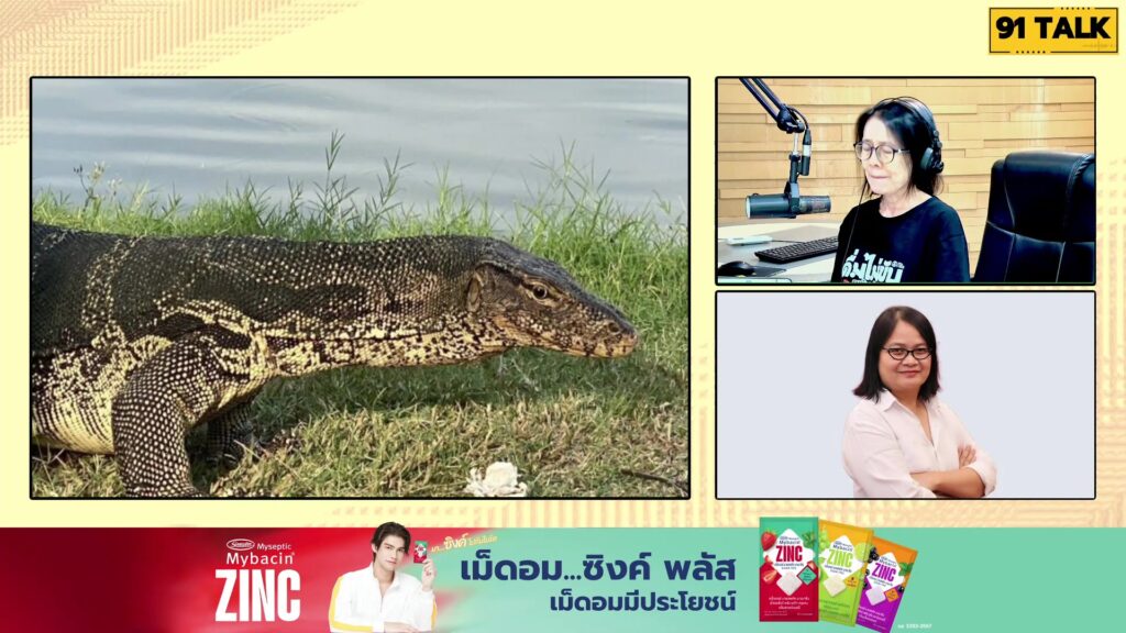 โลกเปลี่ยน-ตัวเงินตัวทอง-กลายเป็น-สัญลักษณ์-ท่องเที่ยวกลางก-|-2026-02-18-07:36:00