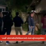 “มอลลี่”-สุนัขสายพันธ์ุไซบีเรียนเสียชีวิตแล้ว-เร่งตามผู้ก่อเหตุจุด