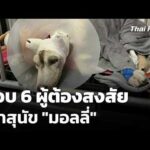 ปูพรมตรวจค้นหา สอบ 6 ผู้ต้องสงสัยเผาสุนัข “มอลลี่” | ข่าวเที่ยง 21 ก.พ. 69