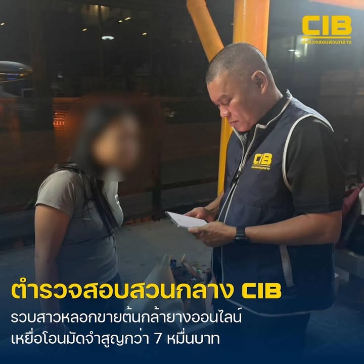 ลวงขายต้นกล้ายางออนไลน์-สูญเงินกว่า-7-หมื่นบาท-นัดส่งของแต่