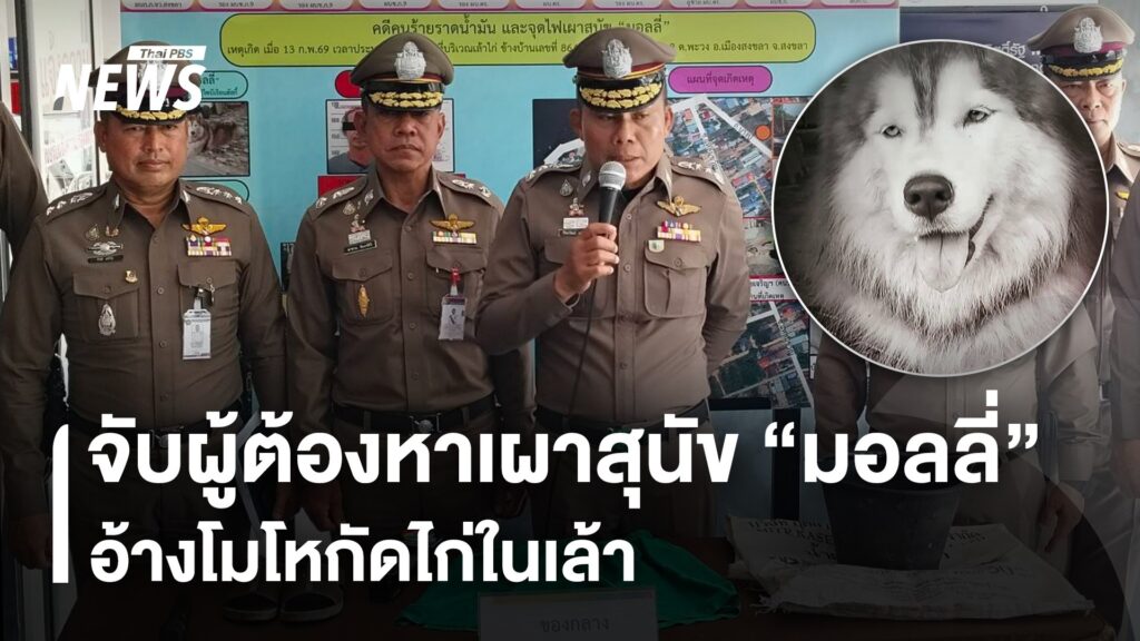 จับผู้ต้องหาเผาสุนัข-“มอลลี่”-อ้างโมโหกัดไก่ในเล้า-ข่าวใต้แ