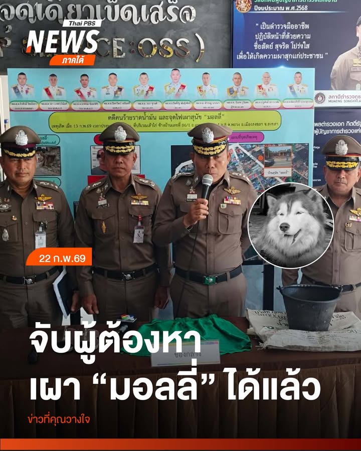 วันนี้(22-กพ.69)-ตำรวจจังหวัดสงขลา-จับกุมผู้ต้องหาทารุณกรรม