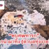 พบซากทารก-พบซากศwเด็กทารกแห้งตาeหน้าบ้านเช่าร้าง-เจ้าของบ้-|-2026-02-22-10:20:00