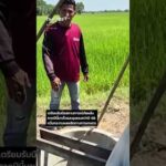 ชัยนาทร้อนจัด ชาวนารับมือ คาดปีนี้แล้งเร็ว ThaiPBS ⚡