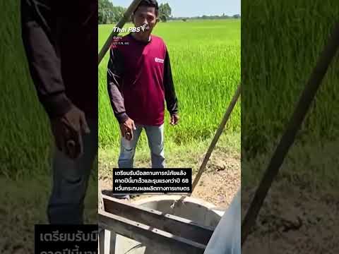 ชัยนาทร้อนจัด ชาวนารับมือ คาดปีนี้แล้งเร็ว ThaiPBS ⚡