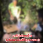 ปิดคดีมอลลี่-ปิดคดีราดน้ำมันเผาสุนัขไซบีเรียน-กับคนก่อเหตุ-|-2026-02-22-07:18:00