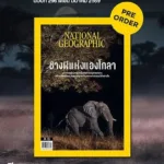 นิตยสาร-national-geographic-ฉบับเดือน-มีค.69-เปิดพรีออเดอร์