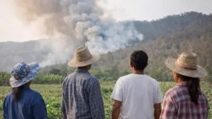 พบเห็นไฟป่า-=-อย่านิ่งดูดาย-โทร-1362-ได้ตลอด-24-ชม.-ช่วยกันเ