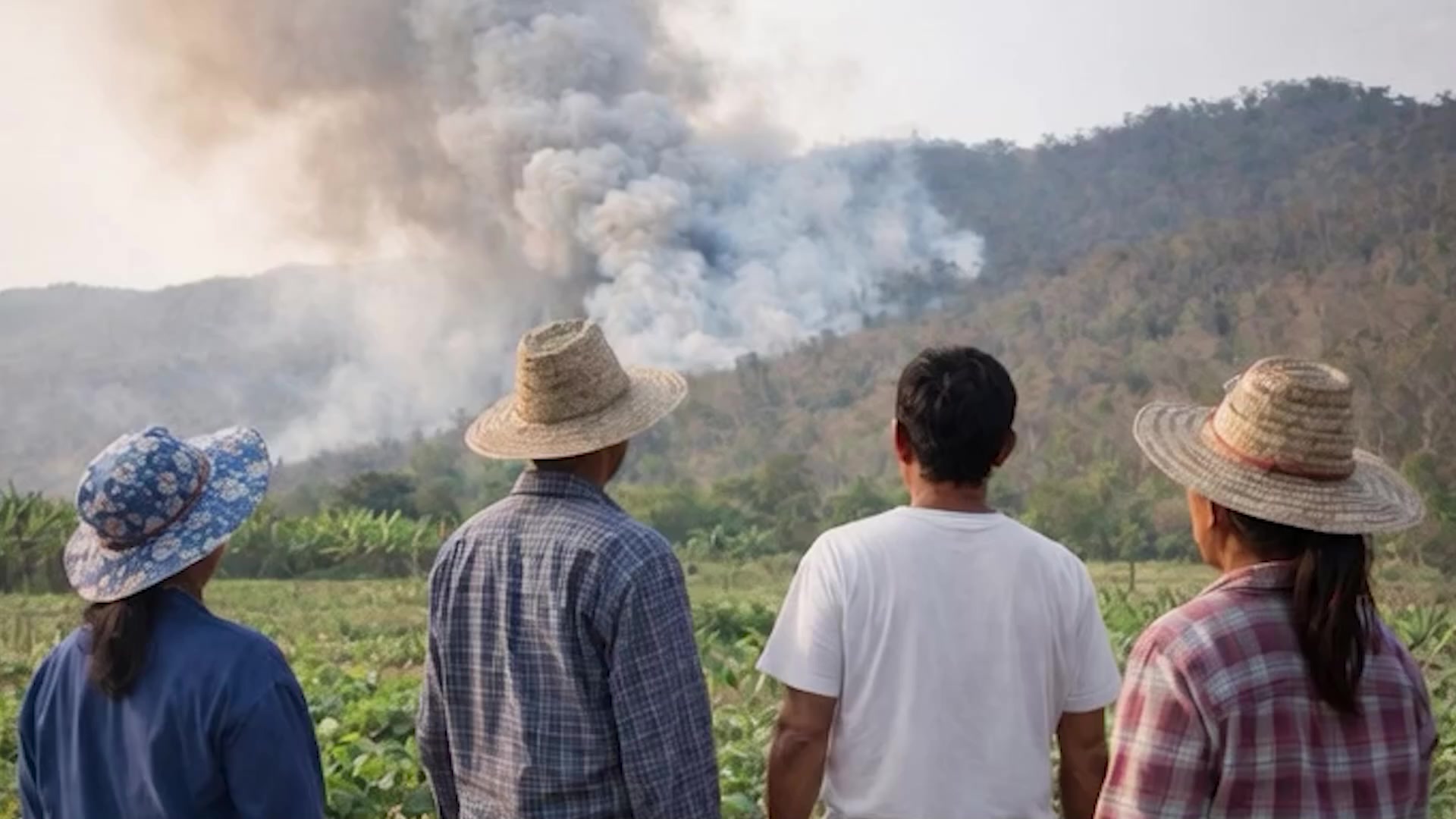 พบเห็นไฟป่า-=-อย่านิ่งดูดาย-โทร-1362-ได้ตลอด-24-ชม.-ช่วยกันเ