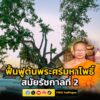 วัดสระเกศฯ-จัดกิจกรรมฟื้นฟูต้นพระศรีมหาโพธิ์-สมัยรัชกาลที่-2-|-2026-02-26-16:21:00