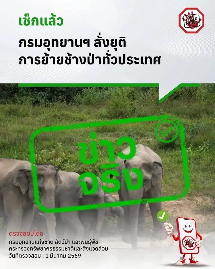 -ข่าวจริง-กรมอุทยานแห่งชาติ-สั่งยุติการย้ายช้างป่าทั่วประเทศ.-อธิ