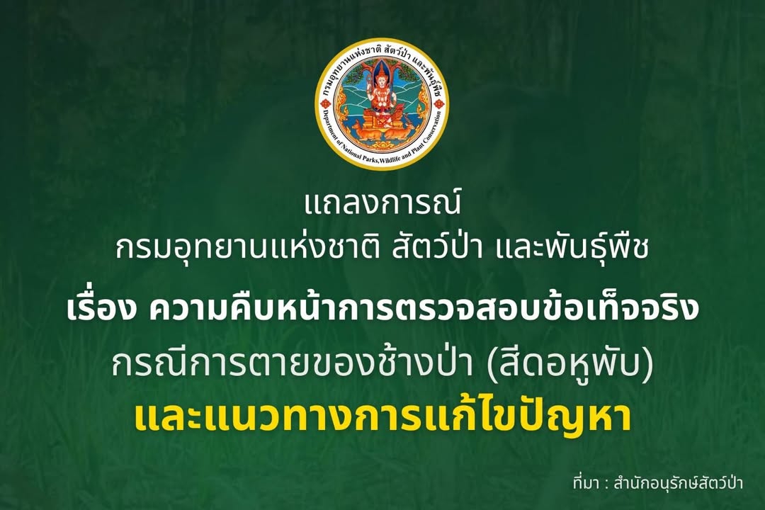 แถลงการณ์-กรมอุทยานแห่งชาติ-สัตว์ป่า-และพันธุ์พืช.-เรื่อง