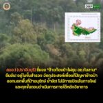 ðððð-:-สบอ1-(ปราจีนบุรี)-ชี้แจง-“ล้างท้องป่าไผ่ยุบ-อช.ทับล
