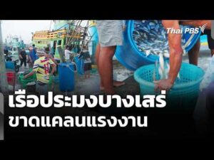 เรือประมงบางเสร่ขาดแคลนแรงงาน  10 มี.ค. 69