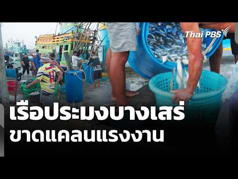 เรือประมงบางเสร่ขาดแคลนแรงงาน  10 มี.ค. 69