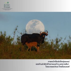 -รางวัลยอดเยี่ยม-ภายใต้โครงการปลูกจิตสำนึกอนุรักษ์ธรรรมชาติ