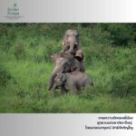 -รางวัลดีเด่น-ภายใต้โครงการปลูกจิตสำนึกอนุรักษ์ธรรรมชาติและ