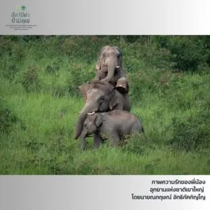 -รางวัลดีเด่น-ภายใต้โครงการปลูกจิตสำนึกอนุรักษ์ธรรรมชาติและ