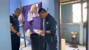 แชมพูสูตรใหม่กวนเองกับมือ-สูตรผมบางเพิ่มผมหลุดร่วง-หนังศีรษะ