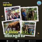เที่ยวชมช้าง-วันช้างไทย-กระทรวงการท่องเที่ยวและกีฬาขอแนะน