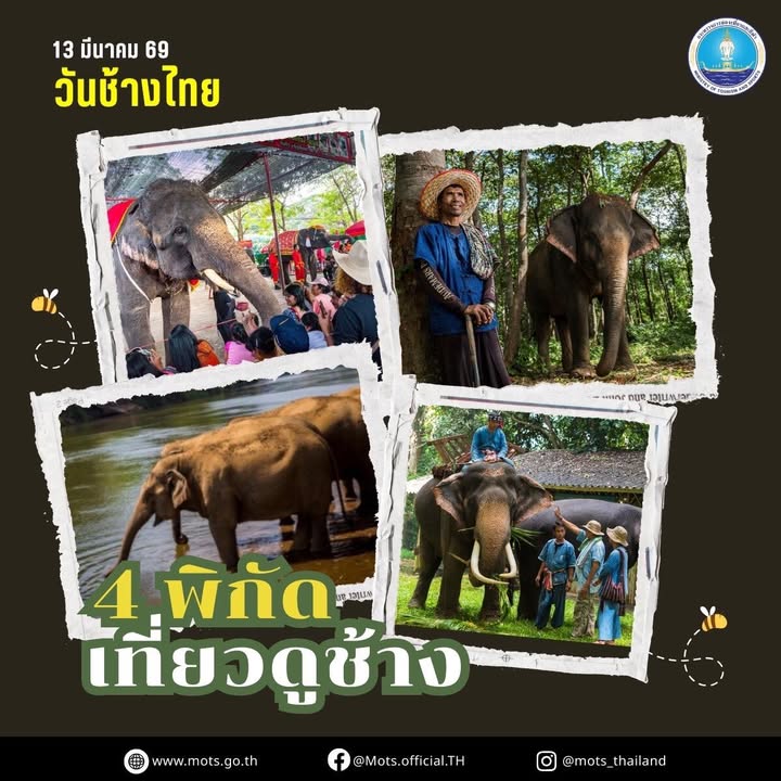 เที่ยวชมช้าง-วันช้างไทย-กระทรวงการท่องเที่ยวและกีฬาขอแนะน
