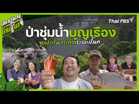 ป่าชุ่มน้ำบุญเรือง ซูเปอร์มาร์เก็ตระดับโลก | มหาอำนาจบ้านนา