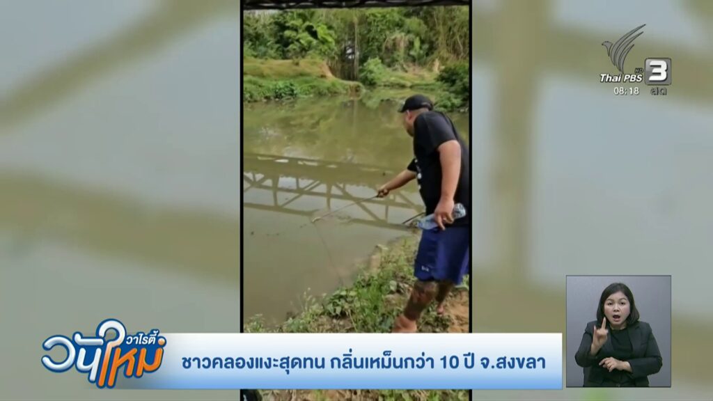 ร้องทุกข์ลงป้ายนี้-ชาวคลองแงะสุดทน-กลิ่นเหม็นกว่า-10-ปี-จ.ส