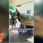 ปตท.-ประกาศจำกัดเติมน้ำมันรถ-4-ล้อไม่เกิน-500-บาทต่อครั้ง-ข