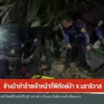 ช้างป่าทำร้ายเจ้าหน้าที่พิทัก์ป่า-จ.นราธิวาส-ข่าวใต้แลได้ที