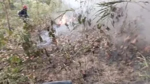 ððð¡ðððð§ð-:-สนธิกำลังสกัดไฟป่าห้วยเจ็ดคต-จังหวัดพิษณุโลก-เสียหาย-2