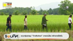 รวมกลุ่มแปรรูป-“ข้าวสังข์หยด”-ขายออนไลน์-สร้างรายได้เพิ่ม-ข