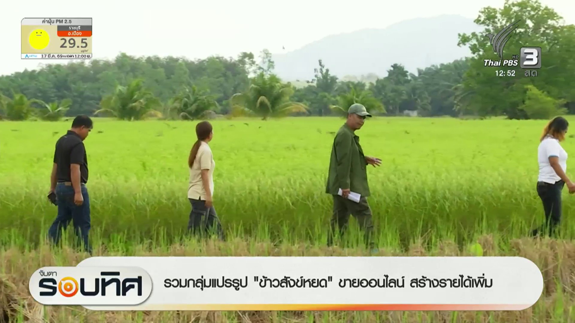 รวมกลุ่มแปรรูป-“ข้าวสังข์หยด”-ขายออนไลน์-สร้างรายได้เพิ่ม-ข