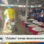 “น้ำมันเขียว”-ราคาพุง-ส่อกระทบราคาอาหารทะเล-ข่าวใต้แลได้ที่
