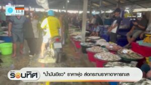 “น้ำมันเขียว”-ราคาพุง-ส่อกระทบราคาอาหารทะเล-ข่าวใต้แลได้ที่