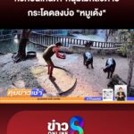 หิวคอนเทนต์?