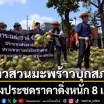 บุกสภาฯเทมะพร้าว-กลุ่มเกษตรฯสุดทนราคามะพร้าวน้ำหอมตกต่ำหน
