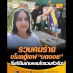 รวบคนร้ายขโมยตู้เซฟ มดออย ที่แท้เป็นช่างคอนโดรวมหัวกัน อัพเดทข่าว