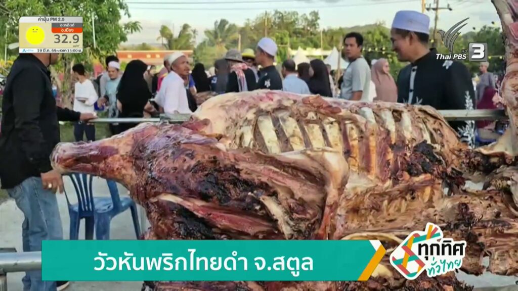 วัวหันพริกไทยดำ-จ.สตูล-ข่าวใต้แลได้ที่เรา-news-#tha