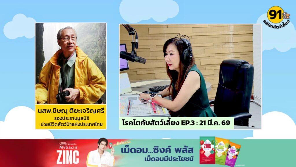 โรคไตกับสัตว์เลี้ยง-ep.3:-fm91-คลินิกสัตว์เลี้ยง-:-21-มีนาคม-|-2026-03-21-06:32:00