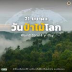 วันป่าไม้โลก-(world-forestry-day)-ตรงกับวันที่-21-มีนาคม-ของ