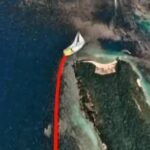 -อัปเดตสถานภาพ-หญ้าทะเล-ชลบุรี-ทรัพยากรสำคัญใต้ผืนน้ำยังค