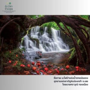 -รางวัลดีเด่น-ภายใต้โครงการปลูกจิตสำนึกอนุรักษ์ธรรรมชาติและ
