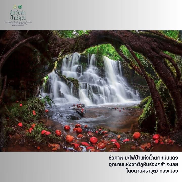 -รางวัลดีเด่น-ภายใต้โครงการปลูกจิตสำนึกอนุรักษ์ธรรรมชาติและ