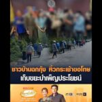 ชาวบ้านฉกกุ้ง หิ้วกระเช้าขอโทษ เก็บขยะบำเพ็ญประโยชน์ อัพเดทข่าว