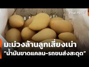 มะม่วงล้านลูกเสี่ยงเน่า น้ำมันขาดแคลน-รถขนส่งสะดุด | ข่าวเที่ยง 22 มี.ค. 69