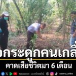 คนซื้อที่ดินช็อก-เดินสำรวจเจอกระดูกคนเกลื่อน-คาดเสียชีวิตมา