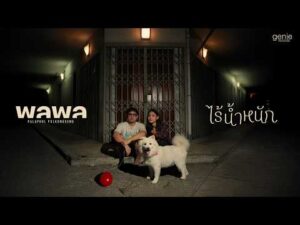 ฟังเพลง ไร้น้ำหนัก – พลพลFirst rate เอ็มวี