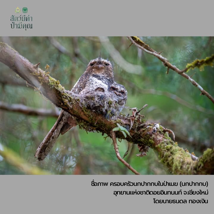 -รางวัลดีเลิศ-ภายใต้โครงการปลูกจิตสำนึกอนุรักษ์ธรรรมชาติและ