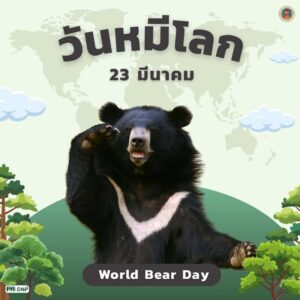 23-มีนาคม-วันหมีโลก-(world-endure-day)-ส่งเสริมการสร้างความต